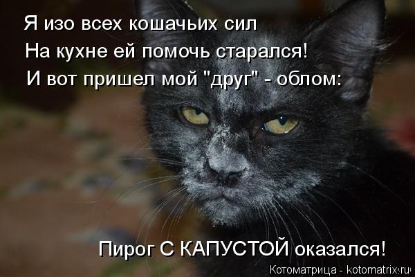 Котоматрица: Я изо всех кошачьих сил На кухне ей помочь старался! И вот пришел мой "друг" - облом: Пирог С КАПУСТОЙ оказался!