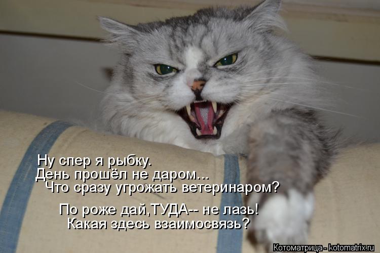 Ну спер я рыбку. День прошёл не даром... Что сразу угрожать ветеринаром? По роже дай,ТУДА-- не лазь! ... Котоматрица: Ну спер я рыбку. День прошёл не даром... Что сразу угрожать ветеринаром? По роже дай,ТУДА-- не лазь! Какая здесь взаимосвязь?