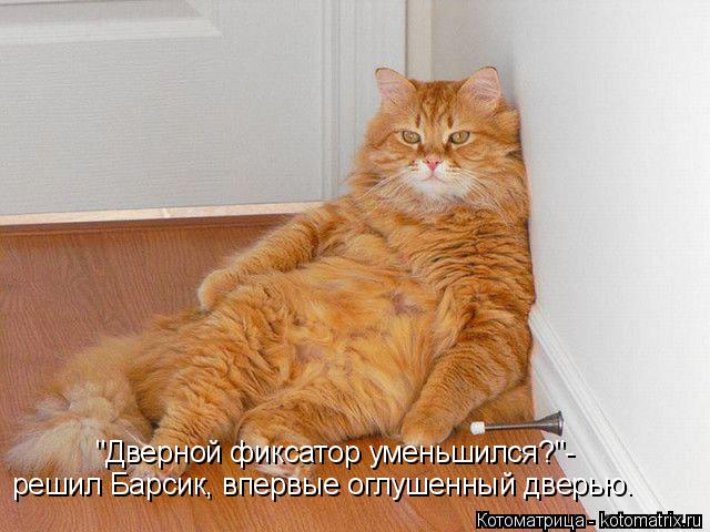 "Дверной фиксатор уменьшился?"- решил Барсик, впервые оглушенный дверью.... Котоматрица: "Дверной фиксатор уменьшился?"- решил Барсик, впервые оглушенный дверью.