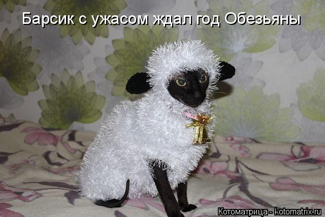 Барсик с ужасом ждал год Обезьяны... Котоматрица: Барсик с ужасом ждал год Обезьяны