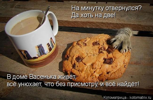 На минутку отвернулся? Да хоть на две! В доме васенька живёт, В доме Васенька живёт, всё унюхает, что... Котоматрица: На минутку отвернулся? Да хоть на две! В доме васенька живёт, В доме Васенька живёт, всё унюхает, что без присмотру, и всё найдёт!