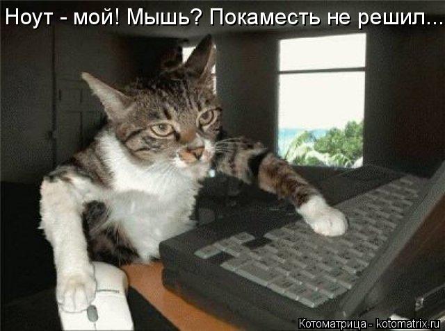 Ноут - мой! Мышь? Покаместь не решил...... Котоматрица: Ноут - мой! Мышь? Покаместь не решил...