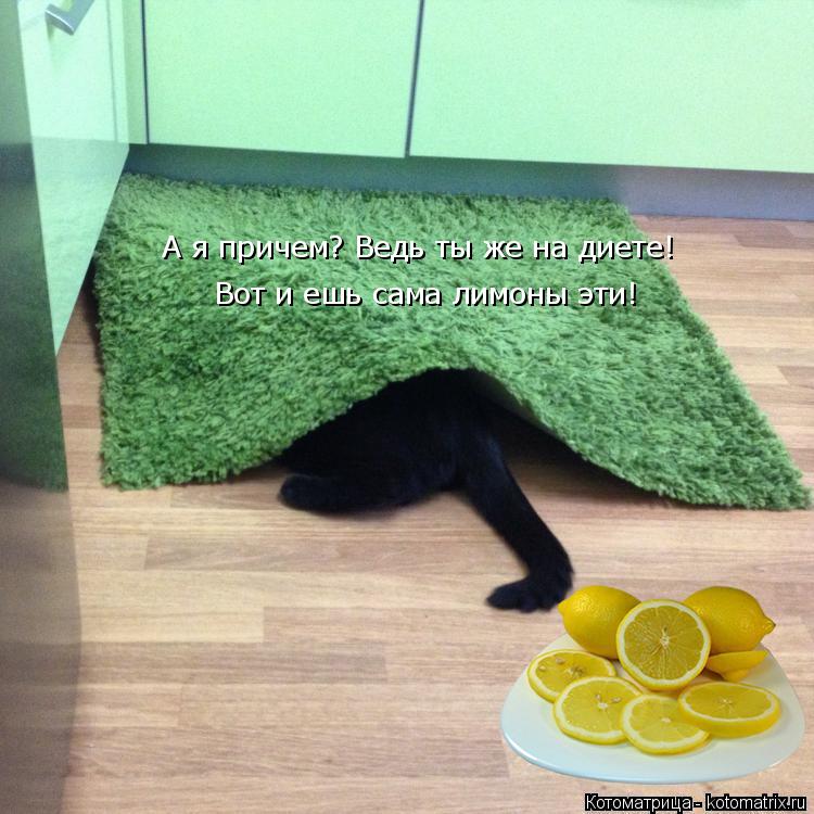 Котоматрица: Вот и ешь сама лимоны эти! А я причем? Ведь ты же на диете!