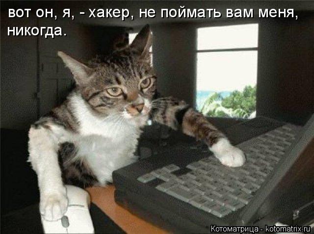 вот он, я, - хакер, не поймать вам меня, никогда.... Котоматрица: вот он, я, - хакер, не поймать вам меня, никогда.