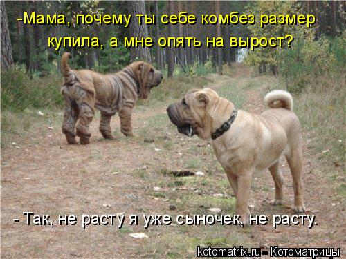-Мама, почему ты себе комбез размер купила, а мне опять на вырост? - Так, не расту я уже сыночек, не... Котоматрица: -Мама, почему ты себе комбез размер купила, а мне опять на вырост? - Так, не расту я уже сыночек, не расту.