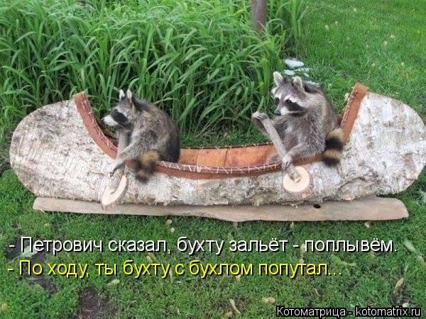 - Петрович сказал, бухту зальёт - поплывём. - По ходу, ты бухту с бухлом попутал...... Котоматрица: - Петрович сказал, бухту зальёт - поплывём. - По ходу, ты бухту с бухлом попутал...