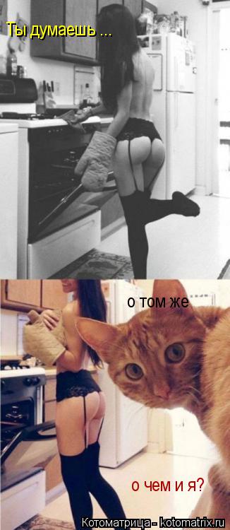 Ты думаешь ... о том же о чем и я?... Котоматрица: Ты думаешь ... о том же о чем и я?
