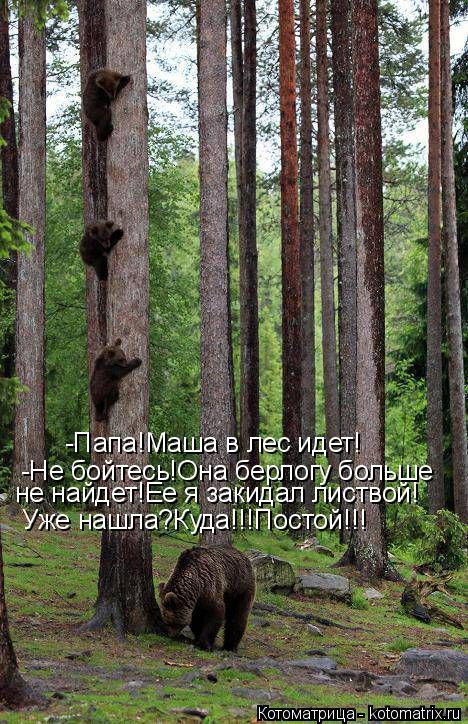 -Папа!Маша в лес идет! -Не бойтесь!Она берлогу больше не найдет!Ее я закидал листвой! Уже нашла?Куда... Котоматрица: -Папа!Маша в лес идет! -Не бойтесь!Она берлогу больше не найдет!Ее я закидал листвой! Уже нашла?Куда!!!Постой!!!