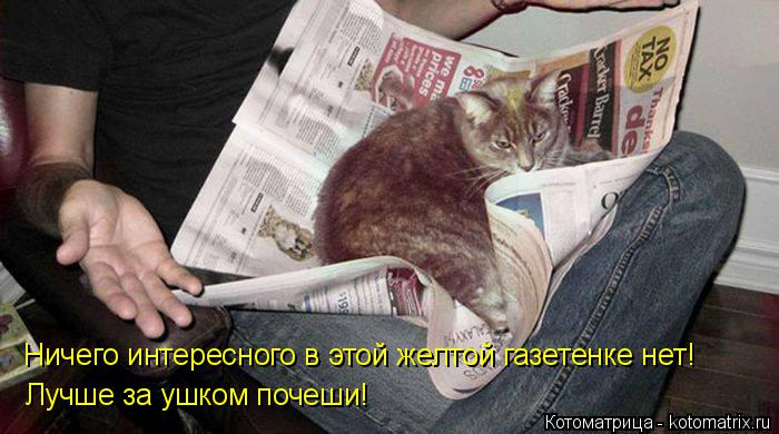 Ничего интересного в этой желтой газетенке нет! Лучше за ушком почеши!... Котоматрица: Ничего интересного в этой желтой газетенке нет! Лучше за ушком почеши!