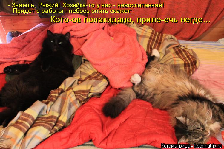 - Знаешь, Рыжий! Хозяйка-то у нас - невоспитанная! Придёт с работы - небось опять скажет: Кото-ов пон... Котоматрица: - Знаешь, Рыжий! Хозяйка-то у нас - невоспитанная! Придёт с работы - небось опять скажет: Кото-ов понакидано, приле-ечь негде...