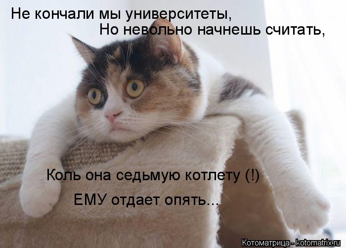 Котоматрица: Не кончали мы университеты, Но невольно начнешь считать, Коль она седьмую котлету (!) ЕМУ отдает опять...
