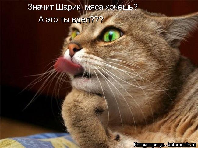 Значит Шарик, мяса хочешь? А это ты вдел???... Котоматрица: Значит Шарик, мяса хочешь? А это ты вдел???