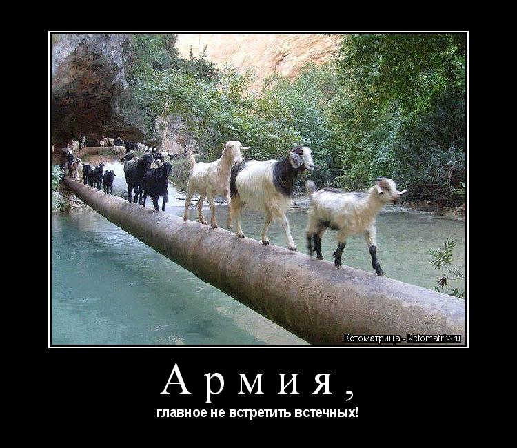 Армия, главное не встретить встечных!... Котоматрица: Армия, главное не встретить встечных!