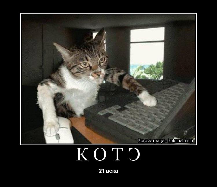 КОТЭ 21 века... Котоматрица: КОТЭ 21 века