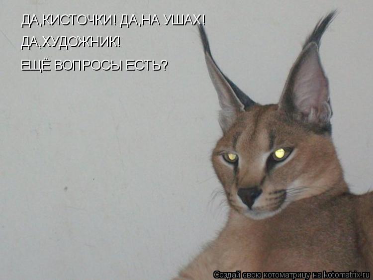 Котоматрица: ДА,КИСТОЧКИ! ДА,НА УШАХ! ДА,ХУДОЖНИК! ЕЩЁ ВОПРОСЫ ЕСТЬ?
