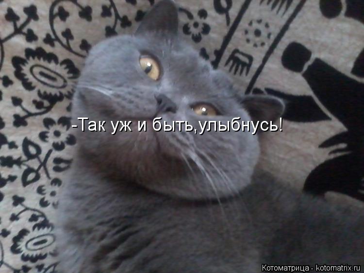 Котоматрица: -Так уж и быть,улыбнусь!