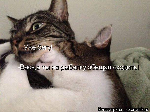 Котоматрица: -Вась,а ты на рыбалку обещал сходить! -Уже бегу!