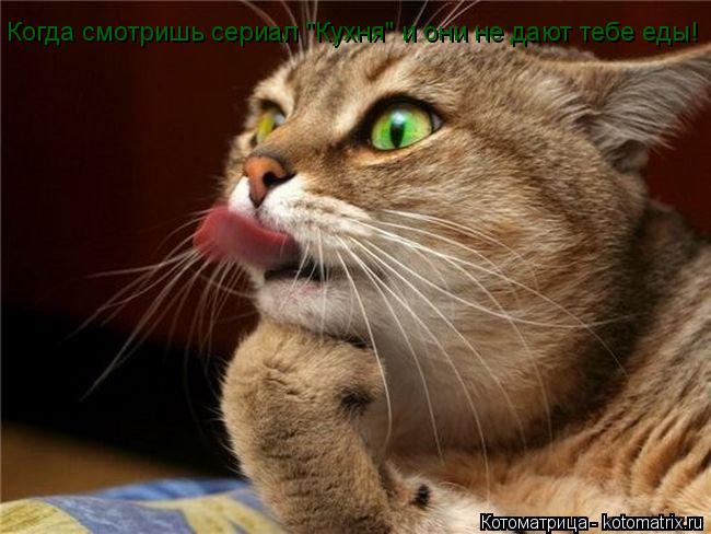 Когда смотришь сериал "Кухня" и они не дают тебе еды!... Котоматрица: Когда смотришь сериал "Кухня" и они не дают тебе еды!