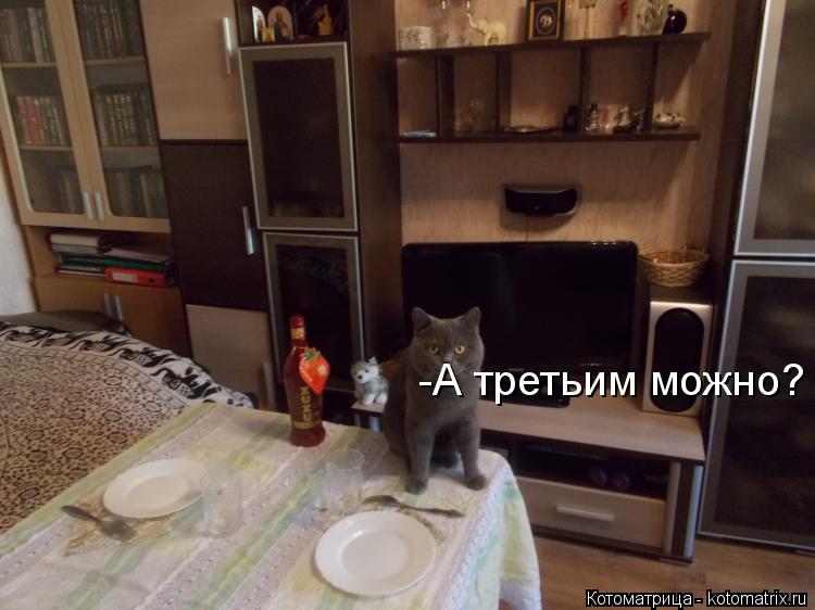 Котоматрица: -А третьим можно?