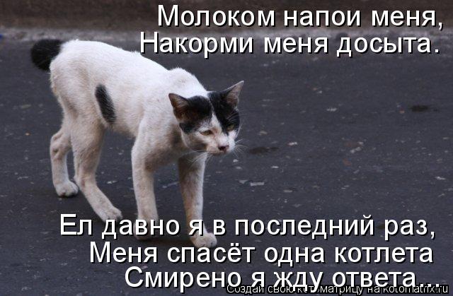 Молоком напои меня, Накорми меня досыта. Смирено я жду ответа... Меня спасёт одна котлета Ел давно я ... Котоматрица: Молоком напои меня, Накорми меня досыта. Смирено я жду ответа... Меня спасёт одна котлета Ел давно я в последний раз,