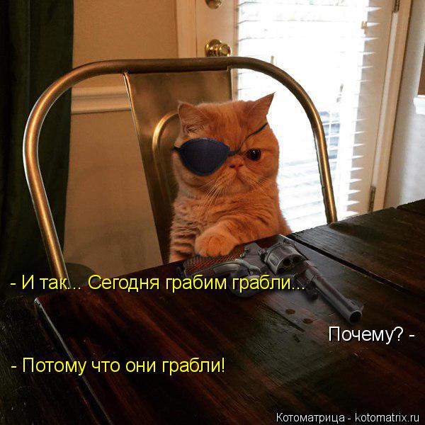 - И так... Сегодня грабим грабли... Почему? - - Потому что они грабли!... Котоматрица: - И так... Сегодня грабим грабли... Почему? - - Потому что они грабли!