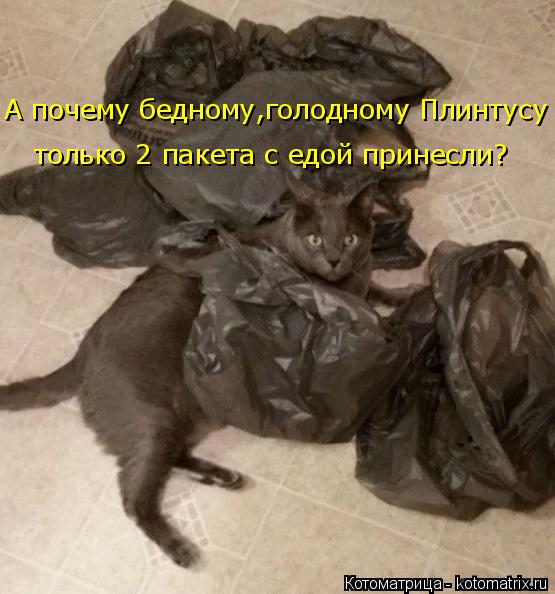 Котоматрица: А почему бедному,голодному Плинтусу только 2 пакета с едой принесли?