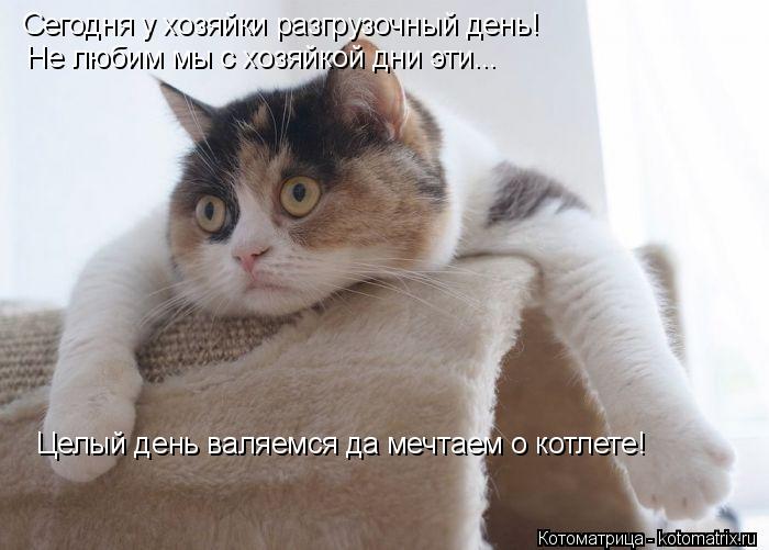 Котоматрица: Сегодня у хозяйки разгрузочный день! Не любим мы с хозяйкой дни эти... Целый день валяемся да мечтаем о котлете!