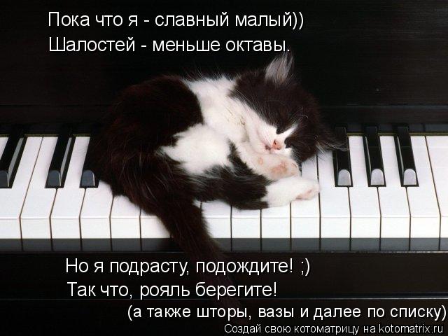 Но я подрасту, подождите! ;) Шалостей - меньше октавы. Пока что я - славный малый)) Так что, рояль бе... Котоматрица: Но я подрасту, подождите! ;) Шалостей - меньше октавы. Пока что я - славный малый)) Так что, рояль берегите! (а также шторы, вазы и далее по списку