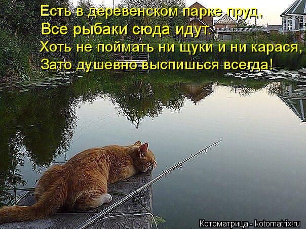 Есть в деревенском парке пруд, Все рыбаки сюда идут. Хоть не поймать ни щуки и ни карася, Зато душевн... Котоматрица: Есть в деревенском парке пруд, Все рыбаки сюда идут. Хоть не поймать ни щуки и ни карася, Зато душевно выспишься всегда!