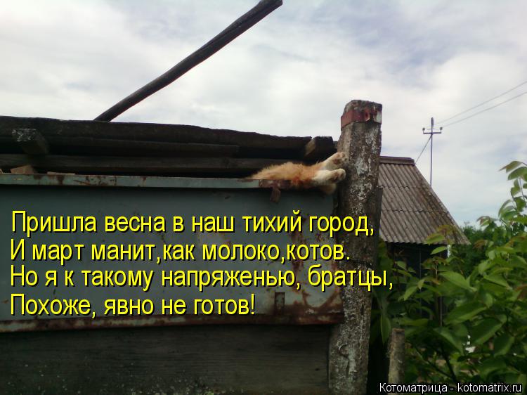 Но я к такому напряженью, братцы, И март манит,как молоко,котов. Похоже, явно не готов! Пришла весна ... Котоматрица: Но я к такому напряженью, братцы, И март манит,как молоко,котов. Похоже, явно не готов! Пришла весна в наш тихий город,