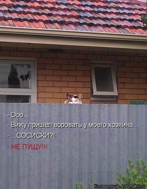 Котоматрица: - Ооо... - Вижу пришел воровать у моего хозяина... - ...СОСИСКИ?! - НЕ ПУЩУ!!!