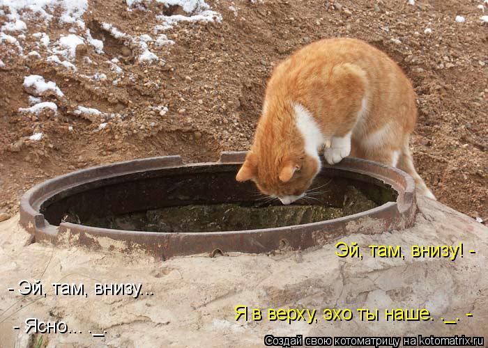 Котоматрица: Эй, там, внизу! - - Эй, там, внизу... Я в верху, эхо ты наше. ._. - - Ясно... ._.