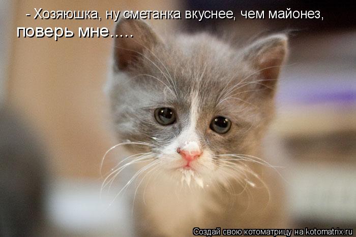 - Хозяюшка, ну сметанка вкуснее, чем майонез, поверь мне........ Котоматрица: - Хозяюшка, ну сметанка вкуснее, чем майонез, поверь мне.....