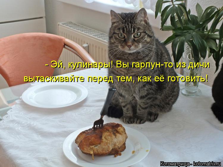 Котоматрица: - Эй, кулинары! Вы гарпун-то из дичи  вытаскивайте перед тем, как её готовить!