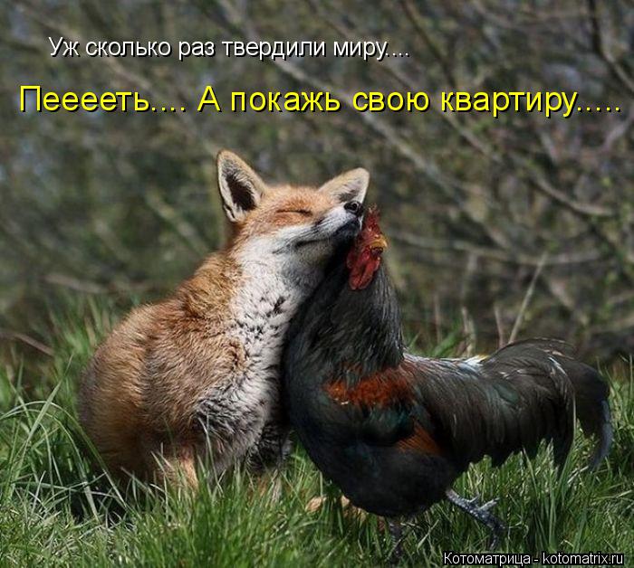 Котоматрица: Уж сколько раз твердили миру.... Пееееть.... А покажь свою квартиру.....