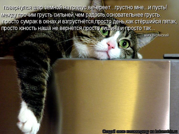 повернулся шар земной на градус,вечереет...грустно мне...и пусть! просто сумрак в окнах,и взгрустнётс... Котоматрица: повернулся шар земной на градус,вечереет...грустно мне...и пусть! просто сумрак в окнах,и взгрустнётся,просто день,как стёршийся пятак, прост