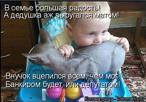 Котоматрица: В семье большая радость! А дедушка аж выругался матом! Внучок вцепился всем, чем мог! Банкиром будет, или депутатом!