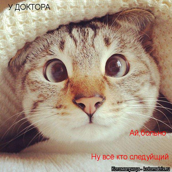 Ну всё кто следуйщий Ай,больно У ДОКТОРА... Котоматрица: Ну всё кто следуйщий Ай,больно У ДОКТОРА