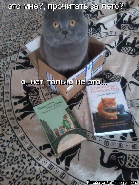 Котоматрица: это мне?, прочитать за лето?, о, нет, только не это!..
