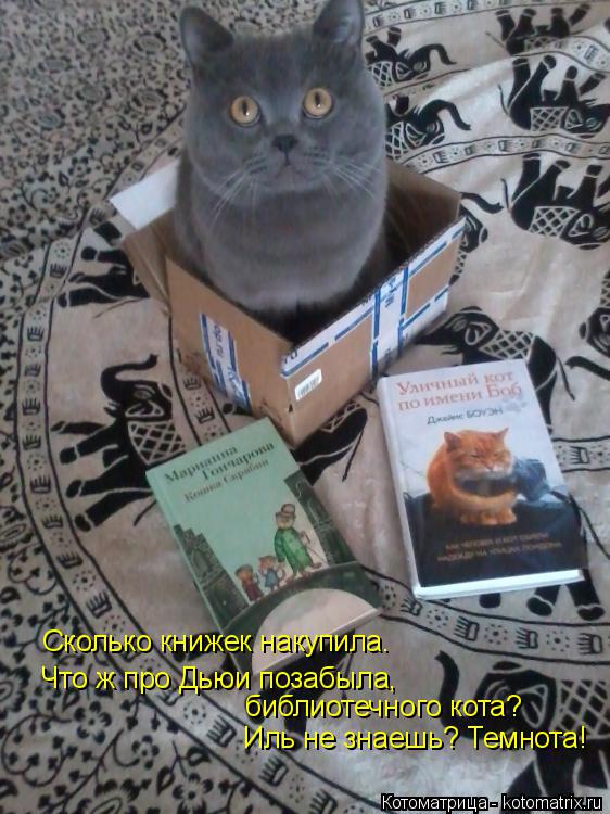 Котоматрица: Сколько книжек накупила. Что ж про Дьюи позабыла, библиотечного кота? Иль не знаешь? Темнота!