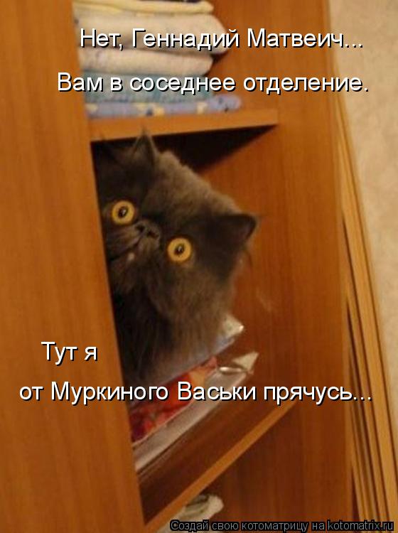 Нет, Геннадий Матвеич... Тут я от Муркиного Васьки прячусь... Вам в соседнее отделение.... Котоматрица: Нет, Геннадий Матвеич... Тут я от Муркиного Васьки прячусь... Вам в соседнее отделение.