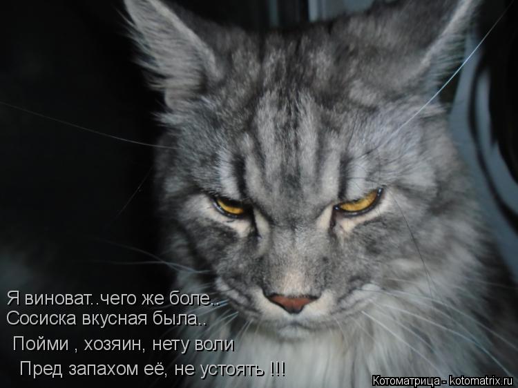 Котоматрица: Я виноват..чего же боле.. Сосиска вкусная была..  Пойми , хозяин, нету воли  Пред запахом её, не устоять !!!