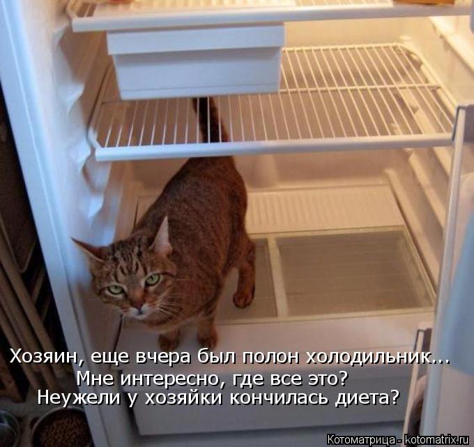 Котоматрица: Хозяин, еще вчера был полон холодильник...  Мне интересно, где все это? Неужели у хозяйки кончилась диета?