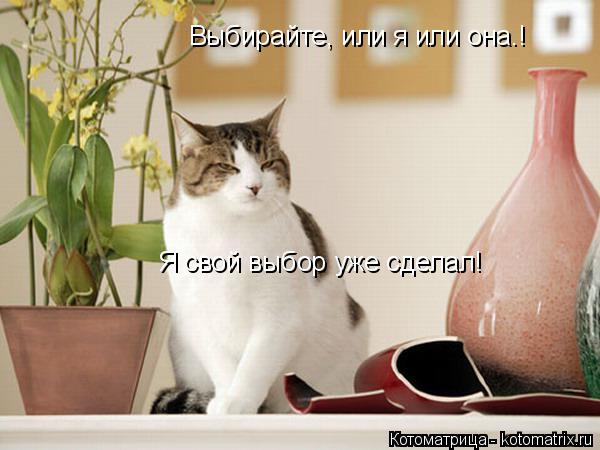 Выбирайте, или я или она.! Я свой выбор уже сделал!... Котоматрица: Выбирайте, или я или она.! Я свой выбор уже сделал!