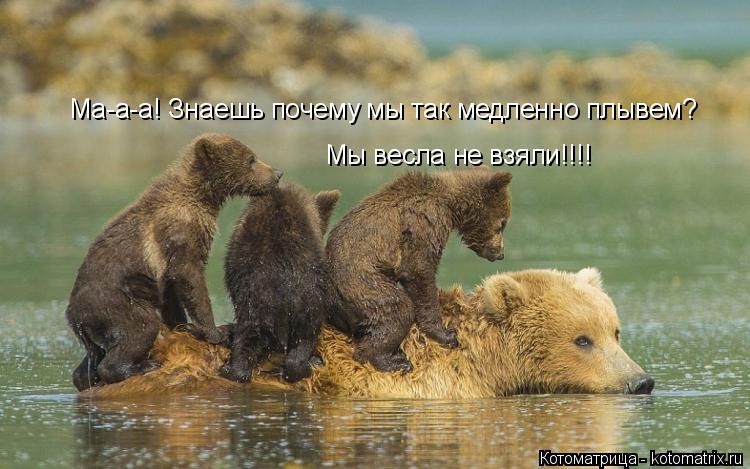 Котоматрица: Ма-а-а! Знаешь почему мы так медленно плывем? Мы весла не взяли!!!!