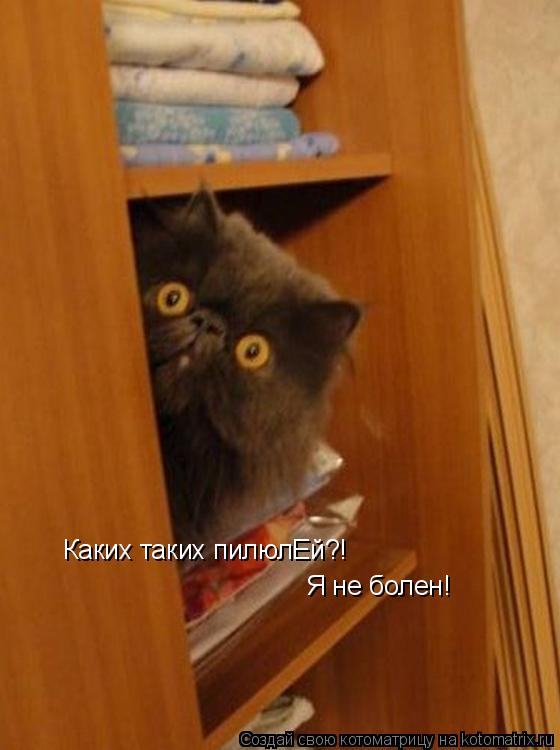 Каких таких пилюлЕй?! Я не болен!... Котоматрица: Каких таких пилюлЕй?! Я не болен!