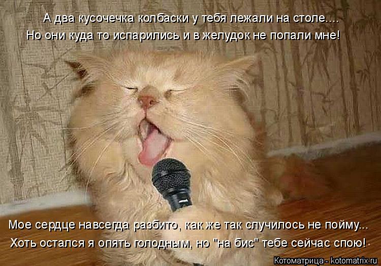 Мое сердце навсегда разбито, как же так случилось не пойму... А два кусочечка колбаски у тебя лежали ... Котоматрица: Мое сердце навсегда разбито, как же так случилось не пойму... А два кусочечка колбаски у тебя лежали на столе.... Но они куда то испарились и в