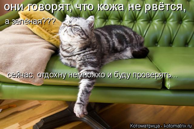 Котоматрица: они говорят, что кожа не рвётся, а зелёная??? сейчас, отдохну немножко и буду проверять...