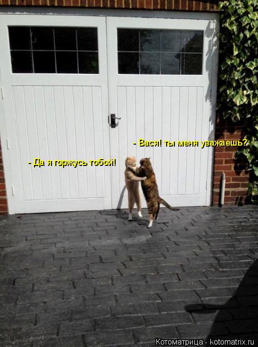 - Вася! ты меня уважаешь? - Да я горжусь тобой!... Котоматрица: - Вася! ты меня уважаешь? - Да я горжусь тобой!