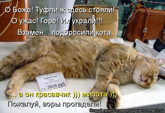 Котоматрица: О Боже! Туфли ж здесь стояли! О ужас! Горе! Их украли!!! Взамен... подбросили кота... ... а он красавчик ))) милота ))) Пожалуй, воры прогадали!